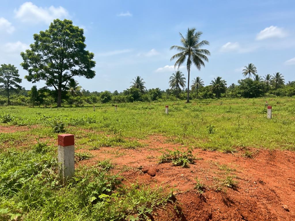 Land opportunities